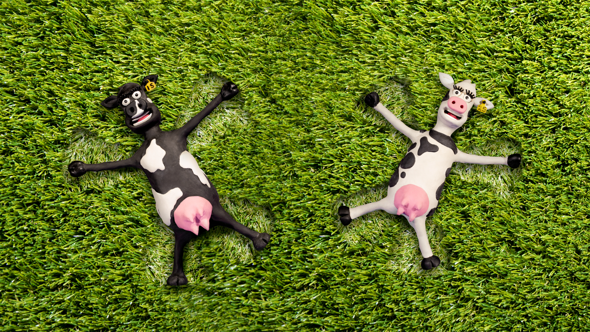 RAGT NZ cow characters making angels in grass