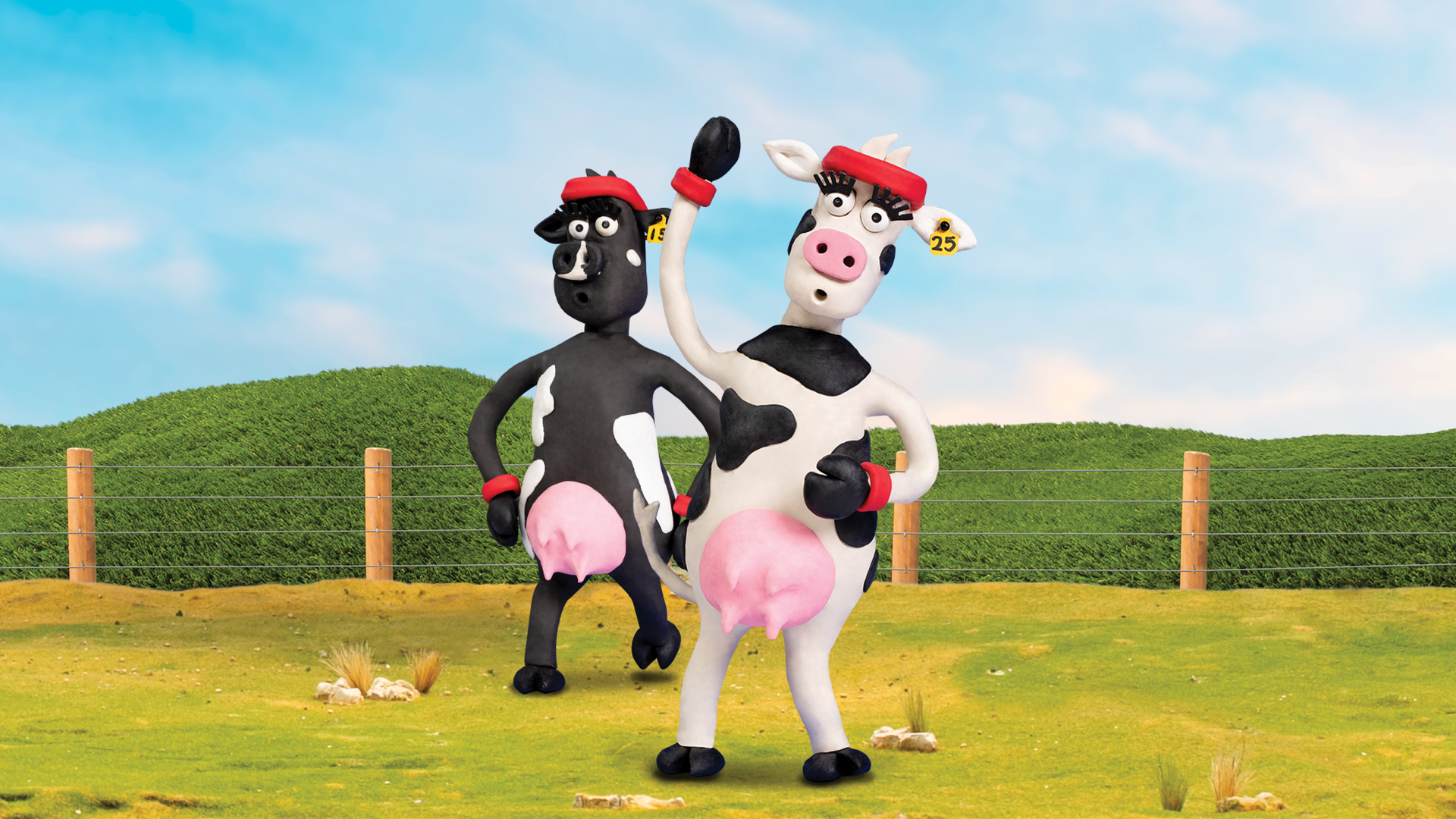 RAGT NZ cow characters on set