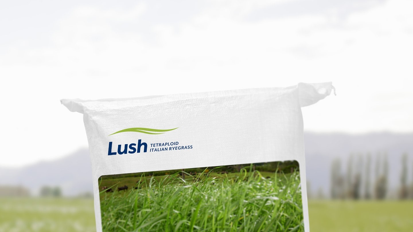 Bag of PGG Wrightsons Seeds Lush product