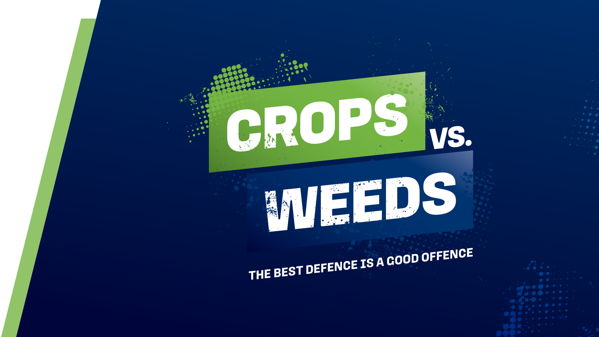 PGG Wrightson Seeds crops vs weeds visual