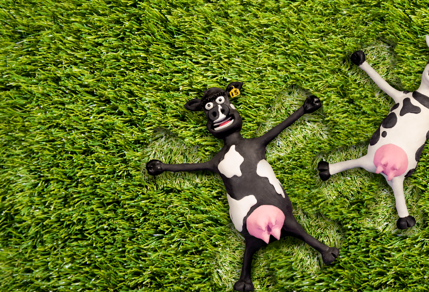 RAGT cow characters making angels in grass