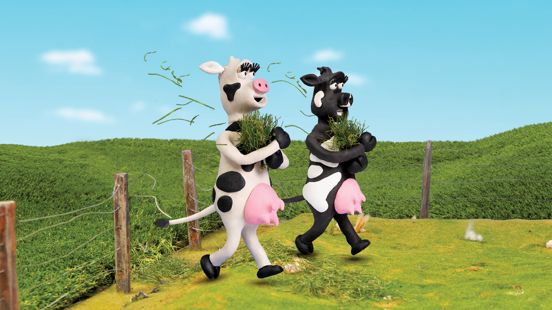RAGT NZ cow characters breaking through fences with grass on set